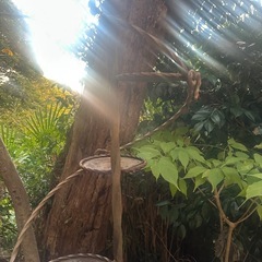 プランタースタンド 飾り棚 ディスプレイ プランターシェルフの画像