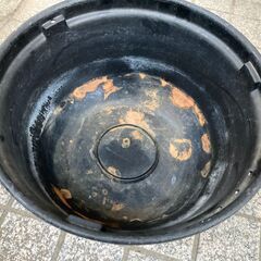 メダカ鉢、差し上げます（その１）の画像