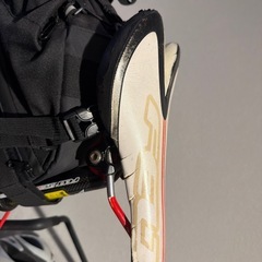 FELT 2012年モデルF5の画像