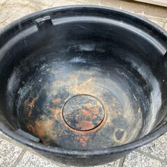 メダカ鉢、差し上げます（その２）の画像