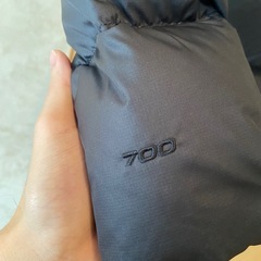 ヌプシ700の画像