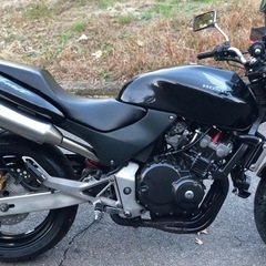 HONERT 250 (MC31-150****)の画像