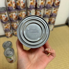 50缶セット コーナンオリジナルのドッグフード「LIFELEX チキン＆ビーフ・野菜 375gの画像