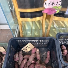 さつまいも(紅はるか)販売中ですの画像