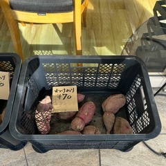 さつまいも(紅はるか)販売中ですの画像