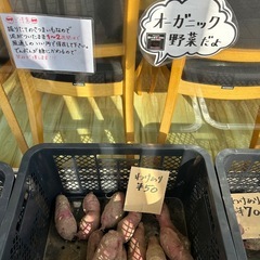 さつまいも(紅はるか)販売中ですの画像