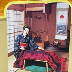 【未使用】デッドストック コタツ敷布団 コタツペット 昭和レトロ  レトロ【1115-50】の画像