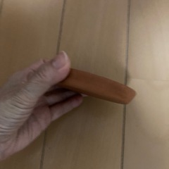 観葉植物　斑入りポトスの画像