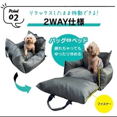 ワンチャンドライブベッド、ソファーの画像