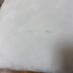 ディズニー　ドナルドダック　もちもち　クッション　枕の画像