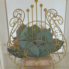 プリザーブドフラワー　楽器モチーフの画像