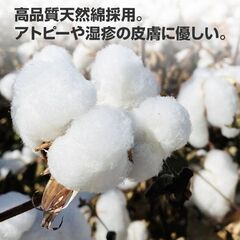 半袖 Tシャツ 100％綿 無地 子供 キッズ 100 110 120 130 140 150 コットン 吸汗速乾 幼稚園 小学校 体育 体操着 発表会 運動会 ダンス 洗い替え 白 黒シャツの画像