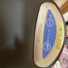 ロディボーイの画像