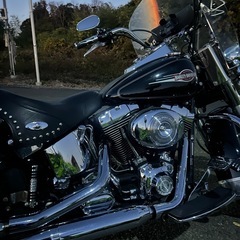 ＦＬＳＴＣ　ヘリテイジソフテイルクラシック 1450の画像