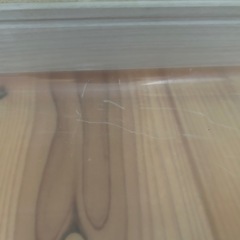 小動物ケージ ハムスター モルモット 両開き クリア透明の画像