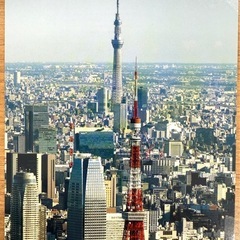 ハガキ2枚　東京タワーと沖縄イラストの画像