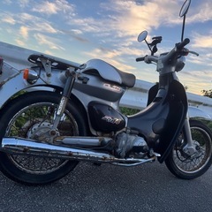 すぐ乗れます❗️リトルカブの画像