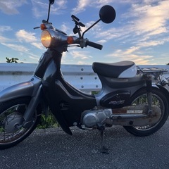 すぐ乗れます❗️リトルカブの画像