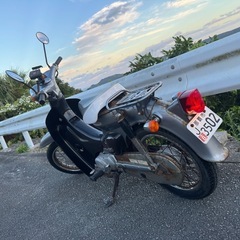 すぐ乗れます❗️リトルカブの画像