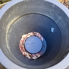 中　プランターの画像