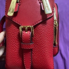 今日限定マイケルコース
の画像