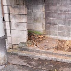 物件清掃承ります【アパート︰マンション共用部】の画像