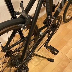 tern surge 47サイズの画像