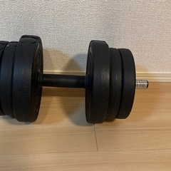 可変式ダンベル樹脂10キロの画像