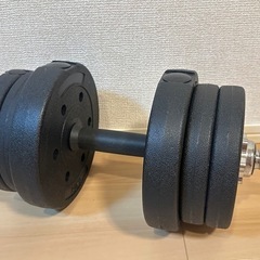 可変式ダンベル樹脂10キロの画像