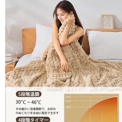 電気毛布 敷き 掛け兼用 190×130cm 5段階温度調整 4段階タイマーの画像