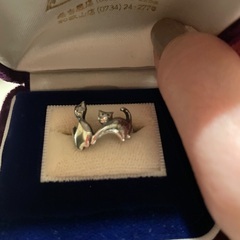 猫二匹リングの画像