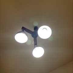 ニトリ照明器具の画像