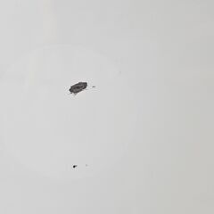 ✨️ジモティー割引✨️【ジャングルジャングル堺初芝店】 SHARP　洗濯機　ES-GE7J　2024年製　堺市（東区　西区　北区　南区　堺区　美原区）高石市　泉大津市　忠岡町　和泉市　松原市　大阪狭山市の画像