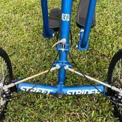 ストリートストライダー 3iの画像