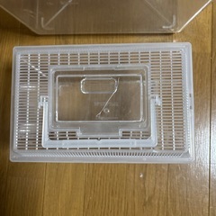 プラスチック水槽と虫籠の画像