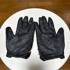 ZARAのスダッツ付き皮のグローブの画像