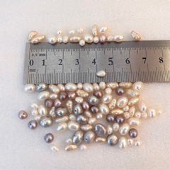 淡水パール　色々　58cmくらい　100粒　まとめ売り　ハンドメイド素材　手芸　作品作り　バラ売り10個100円〜受付ます。の画像