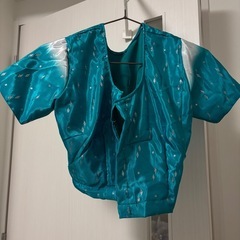 サリー　インド　エメラルドグリーンの画像