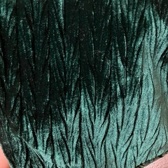 美品　ベロアトップスの画像