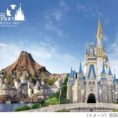 ディズニー 12月中旬以降 一緒に行ける方