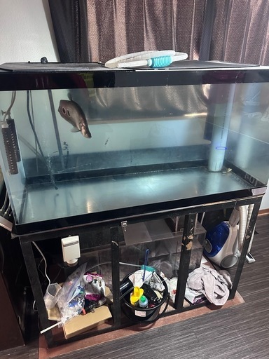 できるだけ早い方、値下げします1200×600×600水槽