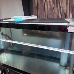 できるだけ早い方、値下げします1200×600×600水槽　　の画像