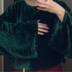 美品　ベロアトップスの画像