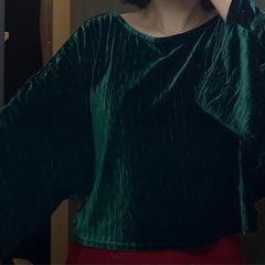 美品　ベロアトップスの画像