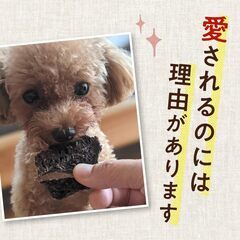 ※値下げ！　健康いぬ生活 犬 おやつ 馬肉 100% ジャーキー 120g (40g×3袋)の画像