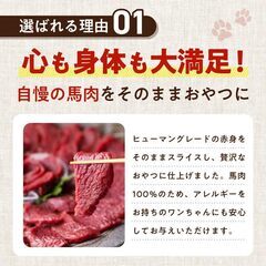 ※値下げ！　健康いぬ生活 犬 おやつ 馬肉 100% ジャーキー 120g (40g×3袋)の画像