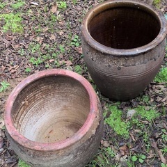 壺、植木鉢いろいろ　ガーデニングなどにの画像
