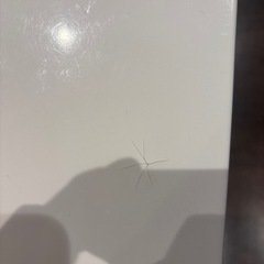 差し上げます！！お洒落ダイニングテーブルの画像