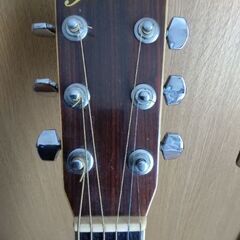 ヤマキアコギ　D132の画像