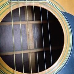 ヤマキアコギ　D132の画像